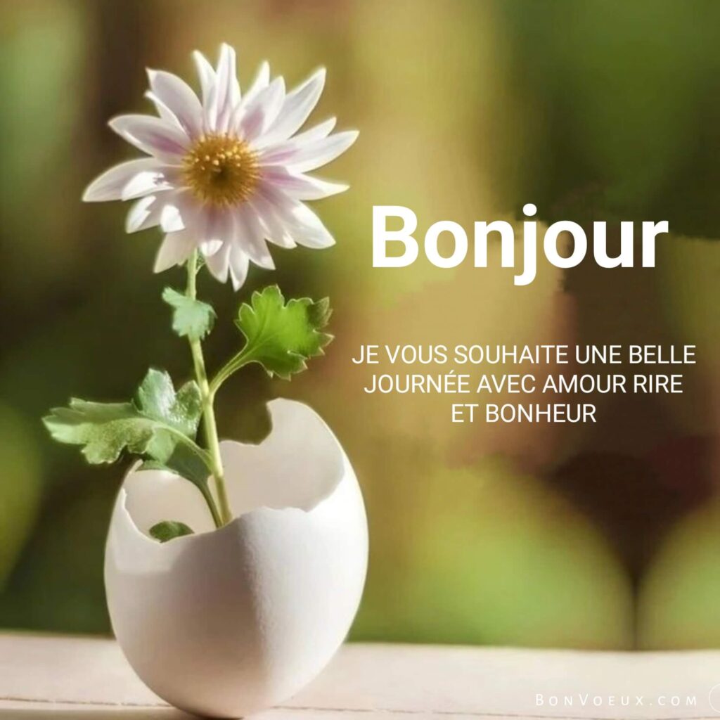 Derniers Vœux De Bonjour
