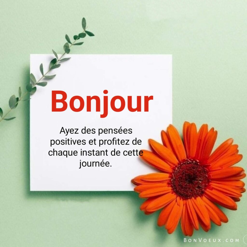 Bonjour Voeux Pour les Amis