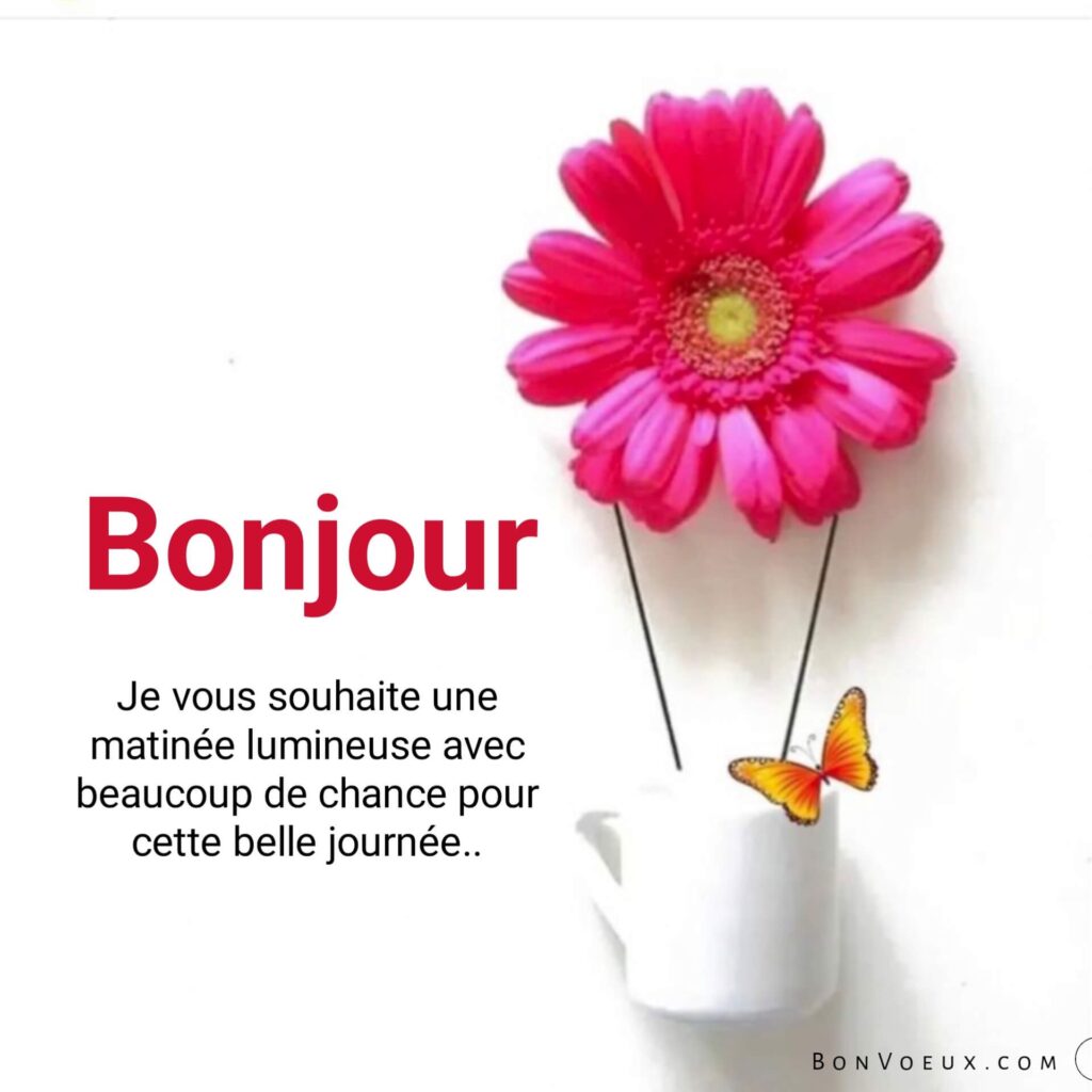 Bonjour, Voeux d’Amour