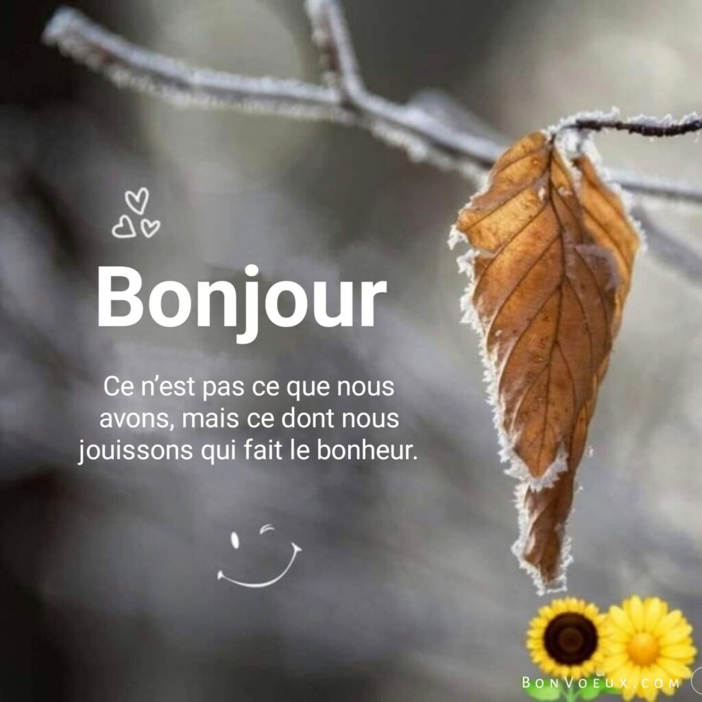 Messages de Bonjour